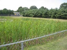 Maintaince of Stormwater Facilities